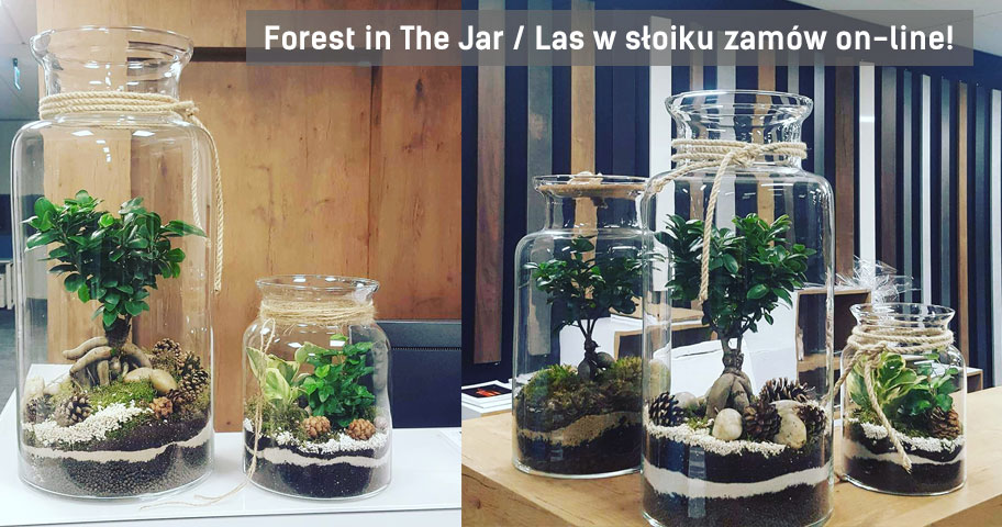 forest-in-the-jar-wroclaw