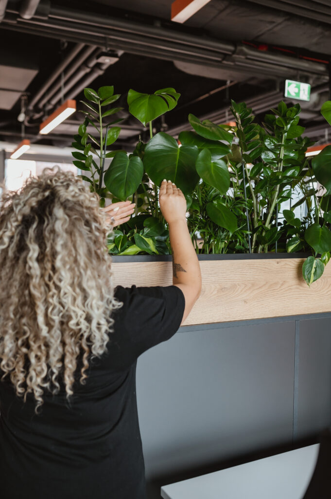 opieka nad roślinami opieka nad roślinami