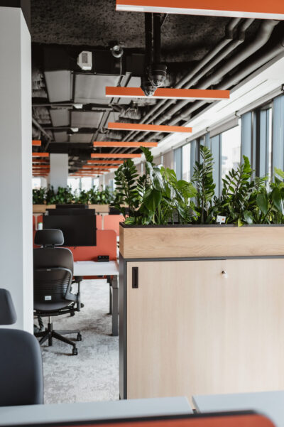 Rośliny biuro Wrocław Katowice