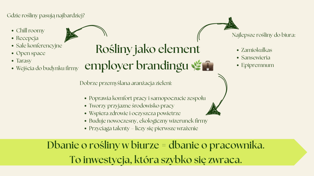Infografika o employer brandingu